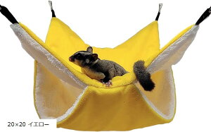 p nbN uR ݂艺t P[W nX^[ bg nlY~ `` tFbg K fO[ ybgpi 20x20 O[ CG[ 20x20 20x20 O[