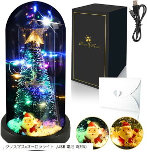 t[Cg ͂Ȃ ΊN   o ForeverFlowers LO v[g  ޏ a NX^xI[Cg USB dr Ή