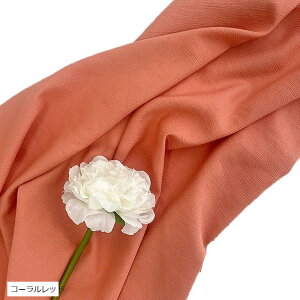 �y�y�V�����L���O1�ʓ��܁z�w�i�z ���l���� 180cmx250cm ���n ���n ���B�� �B�e�p ���� �ʐ^ ���p�r �V�����t���ɂ��� �o�b�N �X�N���[�� �X�^�W�I �N���X �s�X�^�`�I