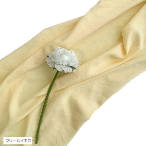 wiz l 300cmx250cm n n B Bep  ʐ^ pr Vtɂ obN XN[ X^WI NX sX^`I