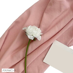 yyVLO1ʓ܁zwiz l 180cmx250cm n n B Bep  ʐ^ pr Vtɂ obN XN[ X^WI NX sX^`I