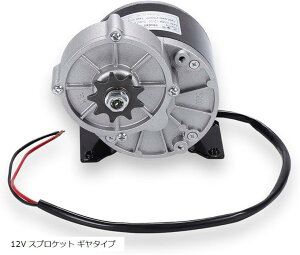݊i M  [^[ 12V 250W ] oCN XN[^[ d   DIY 쐬 uV DC[^[ XvPbg  ėpi