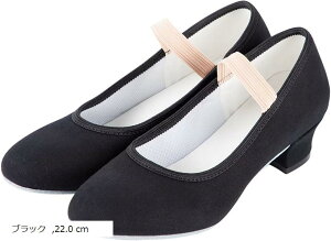 LN^[V[Y  q l oG _XV[Y fB[X ɂ ʋCǂ GXeBbNgpĒEȒP y 20.0CM 21.5 cm 22.0 ubN 20.0 cm