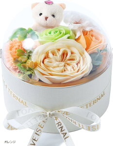 \[vt[ v[g  Mtg {bNX   o ͂Ȃ sNۂԃ{bNX bh IW sN