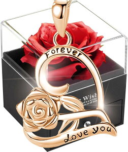 \[vt[ fB[X Vo[925 lbNX pMtg   KN  WG[ ␻ n[g` y_g ͂Ȃ [Y{bNX