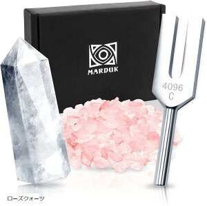  NX^`[i[ 4096hz  ^bgJ[h INJ[h 򉻃Zbg  AWXg [YNH[c