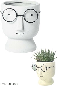 Tierneys  Aؔ 픫 v^[ vg|bg ꌊ k A ϗtA 10 x 12 uE zCg lCr[ 10 x 10 x 12