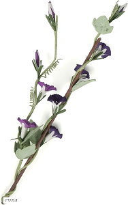 荗agp t[ [hfBt[U[ XeBbN  tFCNO[ lHϗtA  o  ~ ATKI g~