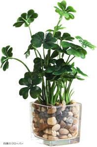 yyVLO1ʓ܁zϗtA tFCN tFCNO[  CeA @̗t lt̃N[o[ Ύ Ԃ̗t