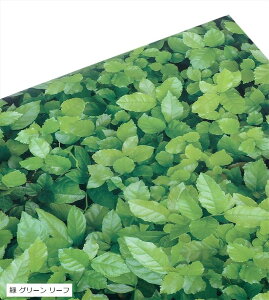 3D  ǎ CNV[g 45cmx10m t i h V[^Cv O[ Ί_A  O[ [t O[ Ί_A