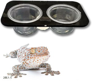 ঒ GT  t[hgC t[h{E zՕt    ώ@  Q 2