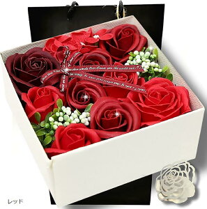 \[vt[ ԑ LO j NX}X KN v[g Mtg   a җ ̓ ̓ bZ[WJ[h VbvobOt sN p[v bh Vp