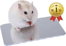【楽天ランキング1位入賞】ハムスター 小動物 ひんやりプレート 涼感 アルミ クールマット 涼しい 冷却マット 熱中症対策 (シルバー, M)