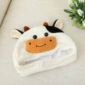 蕨  nEB RXv  Be  Xq p[eB[  EV