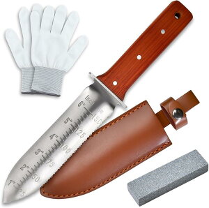 |piCt zz K[f zziCt @\|c[ ڐt nƋ @ Aւ  ؂ R،@