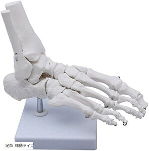 f ͌^  ߖ͌^  E W{ Œ^Cv ғ^Cv  Œ^Cv