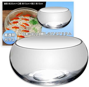  KX ی^ 20cm   ^ Ϗ܋ x^ _J S   CeA ANAE