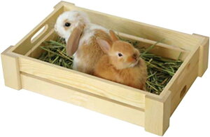 `V[  q qtB[_[ e ؐ  `` bg