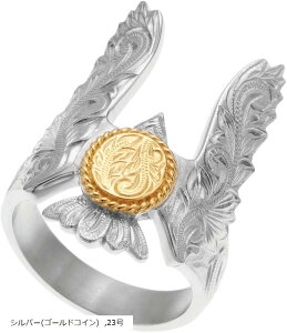 Piena sGiT[WJXeX316L nCAWG[ C[O h RC vA XN[ O Y Vo[ S[hRC / Vo[(S[hRC) 23