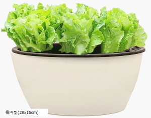 Aؔ vX`bN      n[u ͔| SW2081ȉ~^ 2Zbg 16x9cm 29x15cm ȉ~^ 2Zbg(16x9cm)