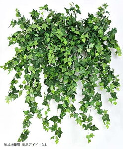 ϗtA  Ǌ| tFCN O[ nMO SW1697 ǉʗp PiACr[3{ Ԃ̃ACr[ 2{+oXPbg ǉʗp PiACr[3{