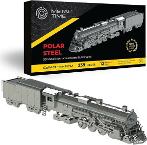 Metal Time �|�[���[�X�`�[�� Polar Steel �g�ݗ��ăL�b�g ���^�����f�� �V���o�[ (�V���o�[)