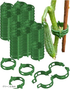 |Nbv UNbv 300Zbg vX`bN Ax  |pЂ O[ O[2.5cm