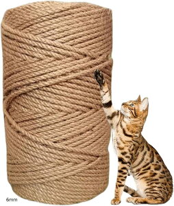 TCU[v L ܂Ƃ  R Lbg^[C 50m 5mm 6mm 4mm