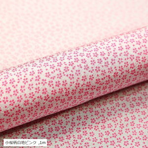 Y [ ߂ n a | ߂׍H z 71cm LsN 1m