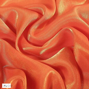 S16F VN  Te n J[ 2mx1.5m O[