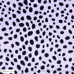 S6  Ip[h  xA n  2mx1.5m 1way qE.C qE.B qE.A _VA [u qE.D