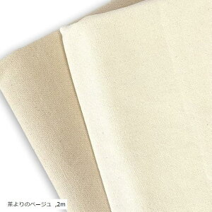  11 100 z n 145cm Rbg LoX ItzCg 2m ̃x[W 1m