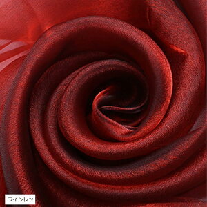  I[KW[ n 5mx150cm | J[ n z  zCg