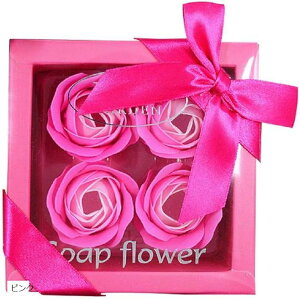 \[vt[ Mtg {bNX Ό̉ v[g a ̓ Ȃǂ u[ sN p[v