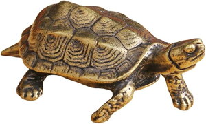 T u IuWF CeA J  5.5cm