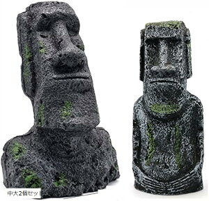  IuWF u AC AC Mы ANAE CeA  1 2Zbg 2Zbg