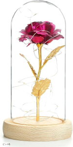  LED o KN t[ [Y ԑ F ԐF F sNF