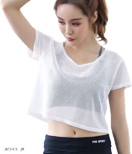 bV T Vc  K _X tBbglX EFA n N[ lbN fB[X gbvX g[jO EGA L ubN zCg M