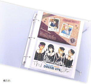 yyVLO1ʓ܁z|XgJ[h p [t@C ͂TCY 100[\ 