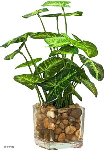 CeAptFCNO[ Ύ  ϗtA @̗t lt̃N[o[ ̗t fB[tFobLA