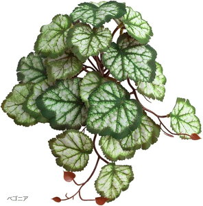 ybgpi lHA roEp zՕtXe t ঒  J JG Ή xSjA XCJyy ACr[ Xe