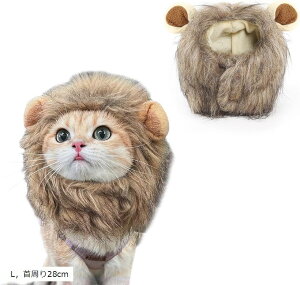 LXq EBbO CIɕϐg t  LpXq 蕨   CIĂ݂  Lp RXvLbv ybgpi nEB[ p[eB[ LOBe M MC