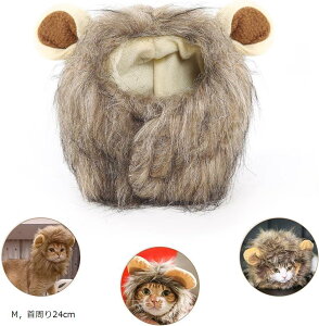 LXq EBbO CIɕϐg t  LpXq 蕨   CIĂ݂  Lp RXvLbv ybgpi nEB[ p[eB[ LOBe M MC