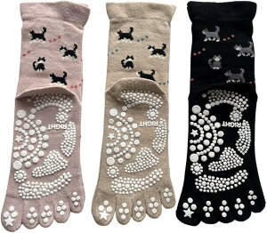 5{w\bNX fB[X X|[c ~ߕt 5{wC K\bNX  S c{ L ȍ 3Zbg F͂C