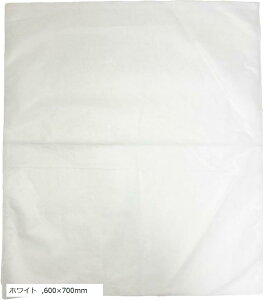 yyVLO1ʓ܁zsDz 50Zbg  傫 傫TCY bsO [  500x600mm 600x700mm zCg 500x600mm