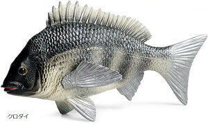  `k   u u CeA IuWF tBMA G 킢 j[N ނ v[g  AJ_C