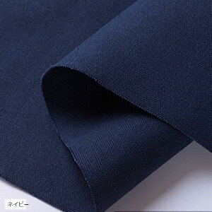 11 J[ z n 100 Rbg LoX F lCr[ F R[q[ x[W Cbh sN O[   ˂ݐF  ᑐF  ԐF 