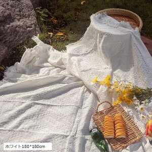 W[V[g sNjbNV[g k INSʐ^ sNjbN}bg  ^ Ԍ AEghA y ^ O[90x90cm