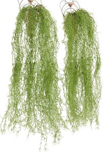 tFCNO[ ϗtA ݂艺  85cm 2Zbg