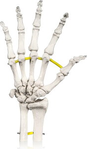 r[ƐLkR[hŎR݂ɓ֐ߖ͌^ l̖͌^ ͌^ PTďC iW{ E g